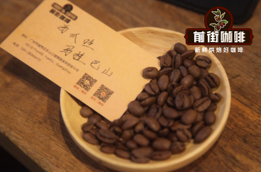 Java coffee plantation