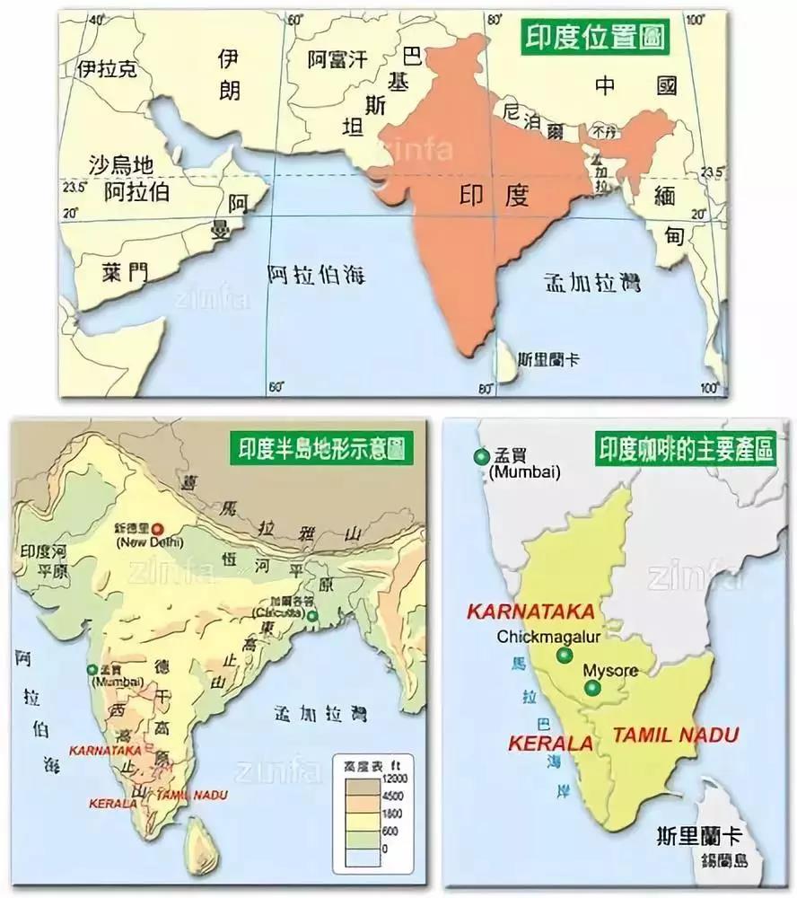 Indian coffee plantation mountains