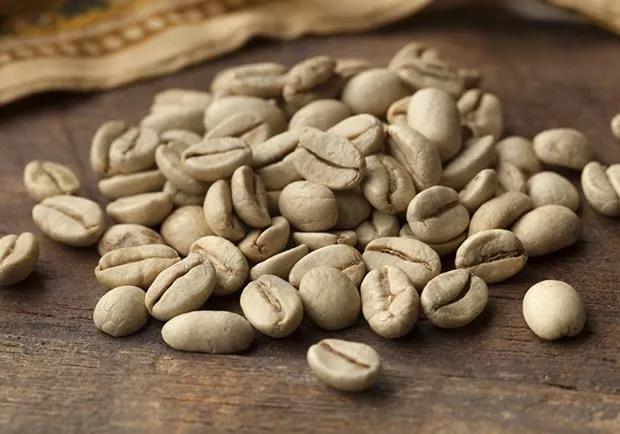 Monsooned coffee beans after processing