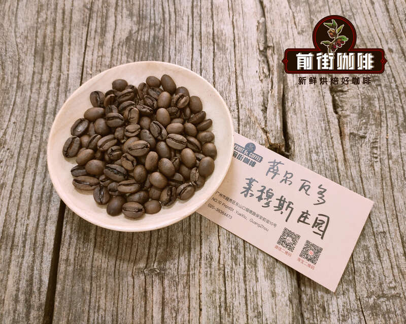 Coffee beans from Lemus Estate, El Salvador