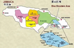 Blue Mountain Coffee: Is Only Wash-Processed Jamaican Blue Mountain Coffee Authentic?