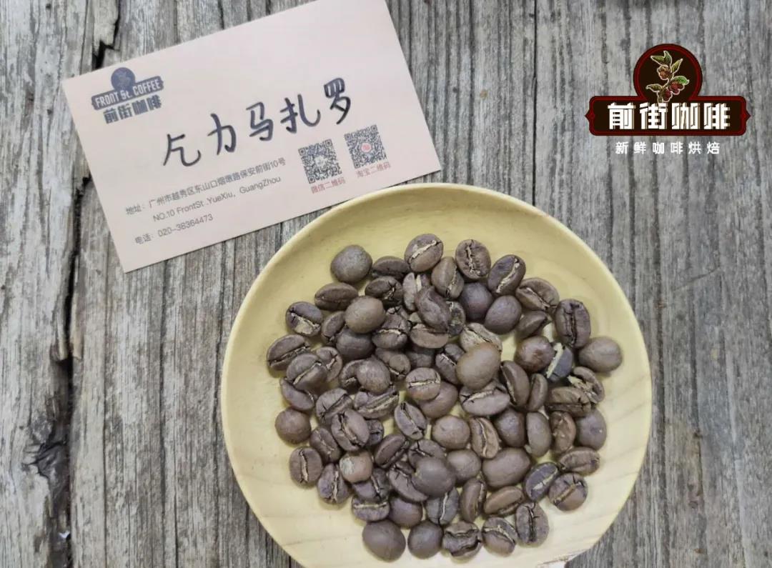 Professional coffee cupping evaluation session