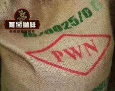 Differences Between Mandheling and Blue Mountain: How to Brew These Full-Bodied Coffees