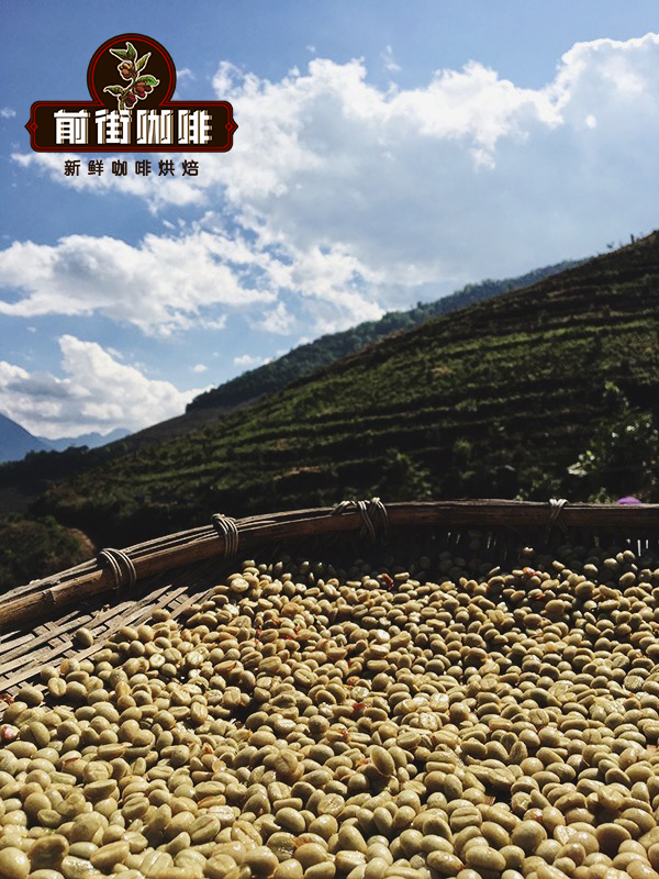 Yunnan coffee processing equipment