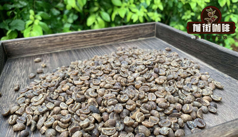 Coffee processing