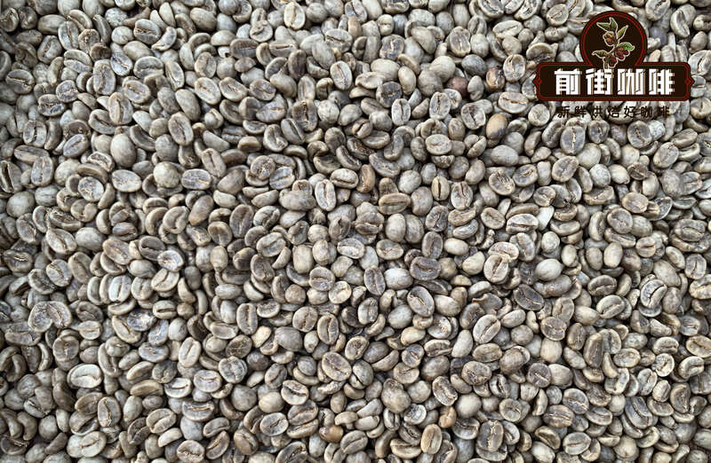 Direct solvent processing equipment