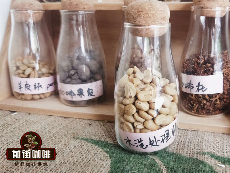 Washed coffee processing