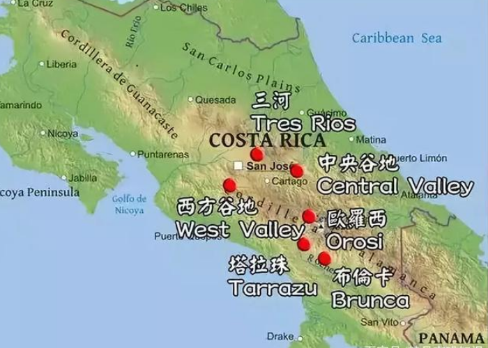 Tarrazú Coffee Growing Region