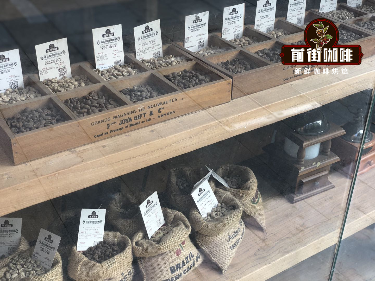 Brazil coffee plantation