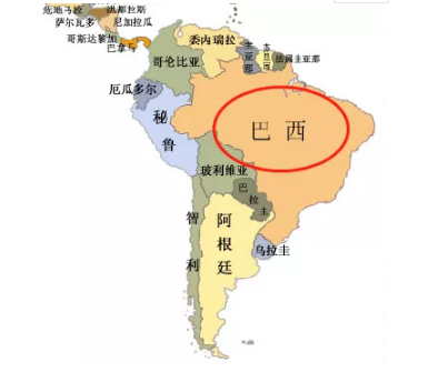 Brazil coffee flavor profile