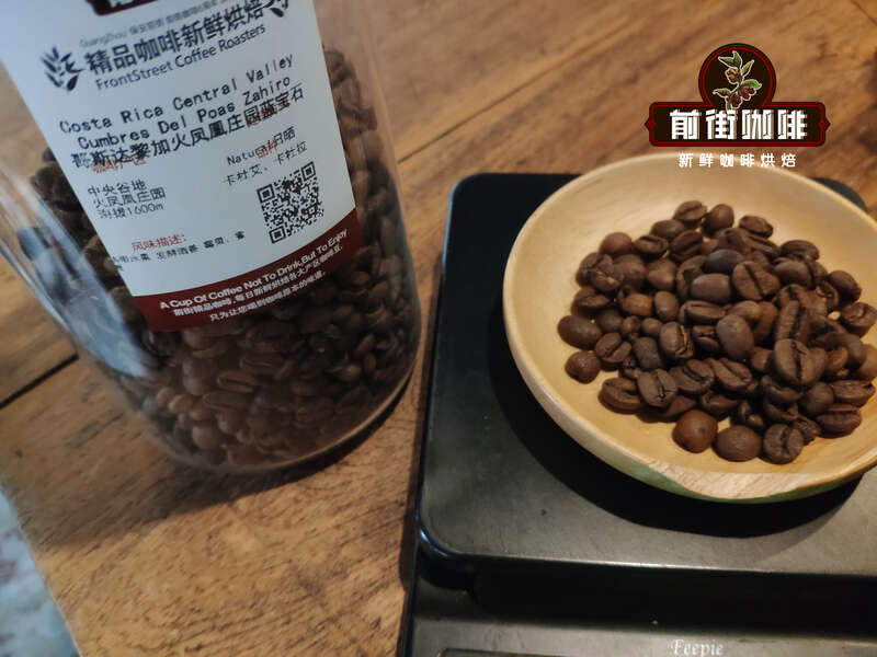 F1 hybrid coffee varieties