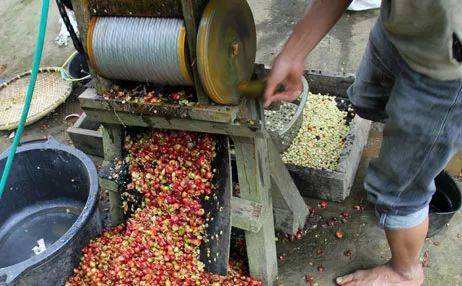 Wet-hulled processing method illustration