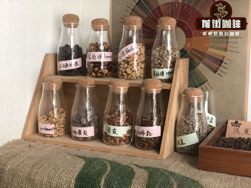 World's Top Six Coffee Bean Growing Regions Ranking: Which Brands Offer the Best Black Coffee Beans