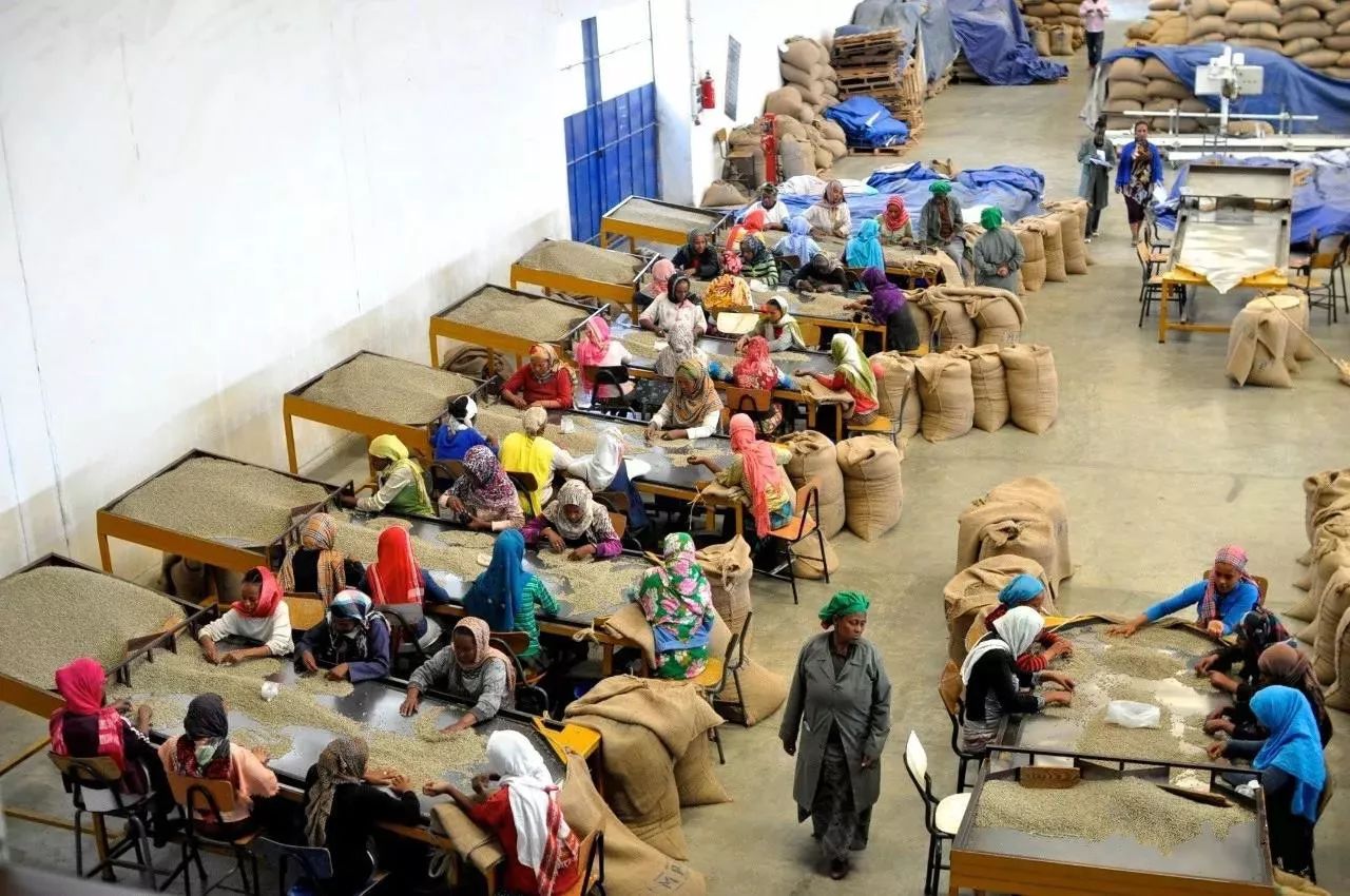 Ethiopia grading table