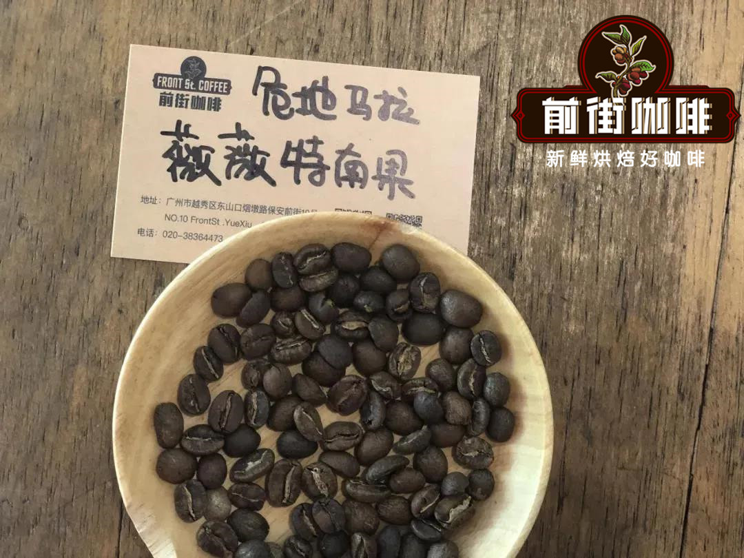 Guatemala Coffee Beans Information