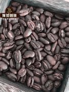 Indonesia Sumatra Aceh Region Special Coffee Bean Variety Longan Dragon Fruit - Longan Dragon Fruit Coffee Flavor