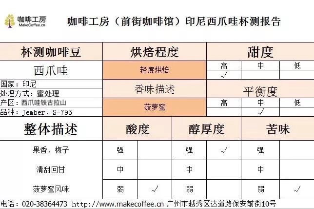 Coffee Cupping Process