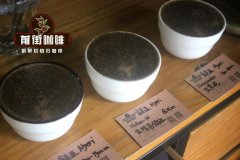 Introduction to Six Major Coffee Growing Regions in African Kenya, Kenyan Coffee Varieties & 72-Hour Washed Process