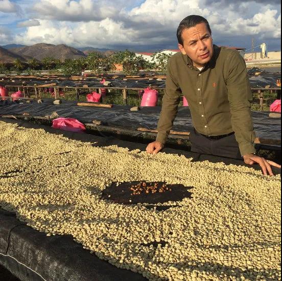 Natural Processing Coffee Beds