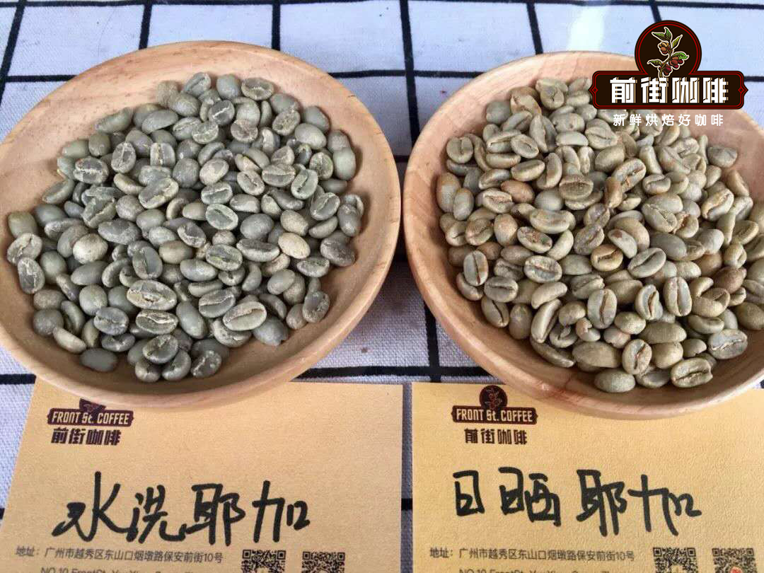 Green bean comparison