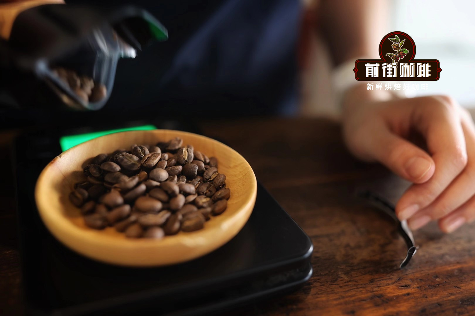 Freshly roasted coffee beans showing optimal quality for brewing