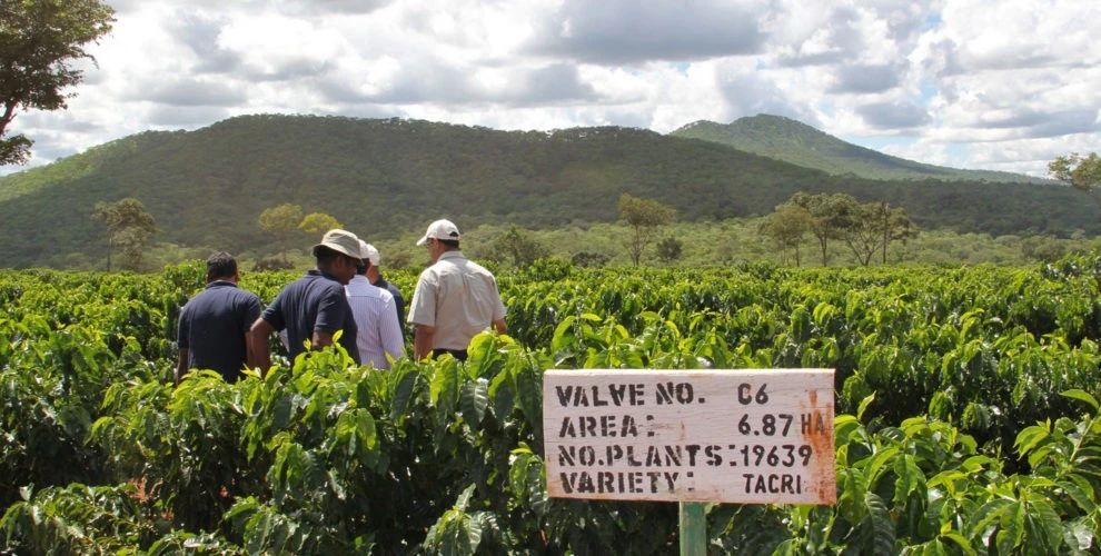 Kilimanjaro Native Planters Association historical document