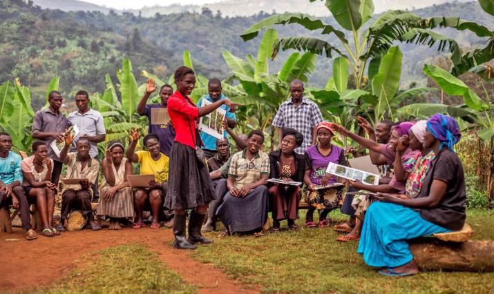 Uganda coffee cultivation