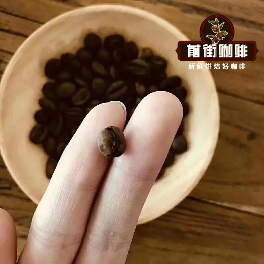 Yemen coffee varieties