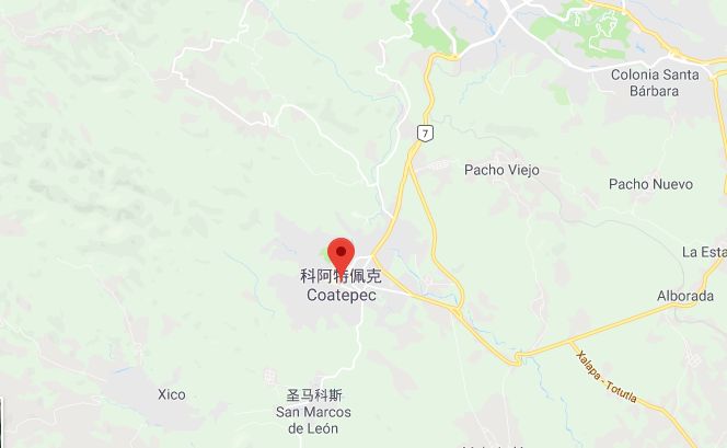 Coatepec coffee growing region