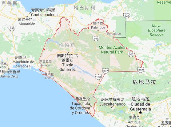 Chiapas coffee growing region