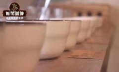 Nicaragua Coffee Regions Flavor Profile and Brewing Characteristics of Nicaraguan Coffee Beans