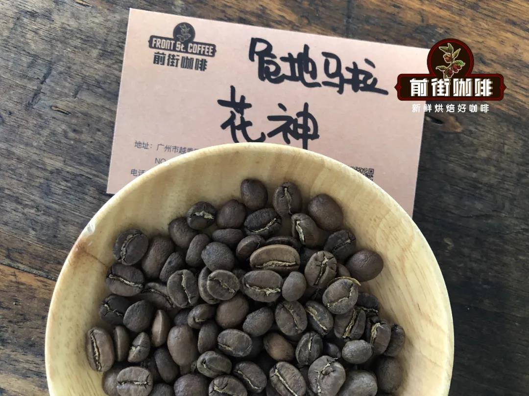 Flor de Antigua coffee beans showing premium quality