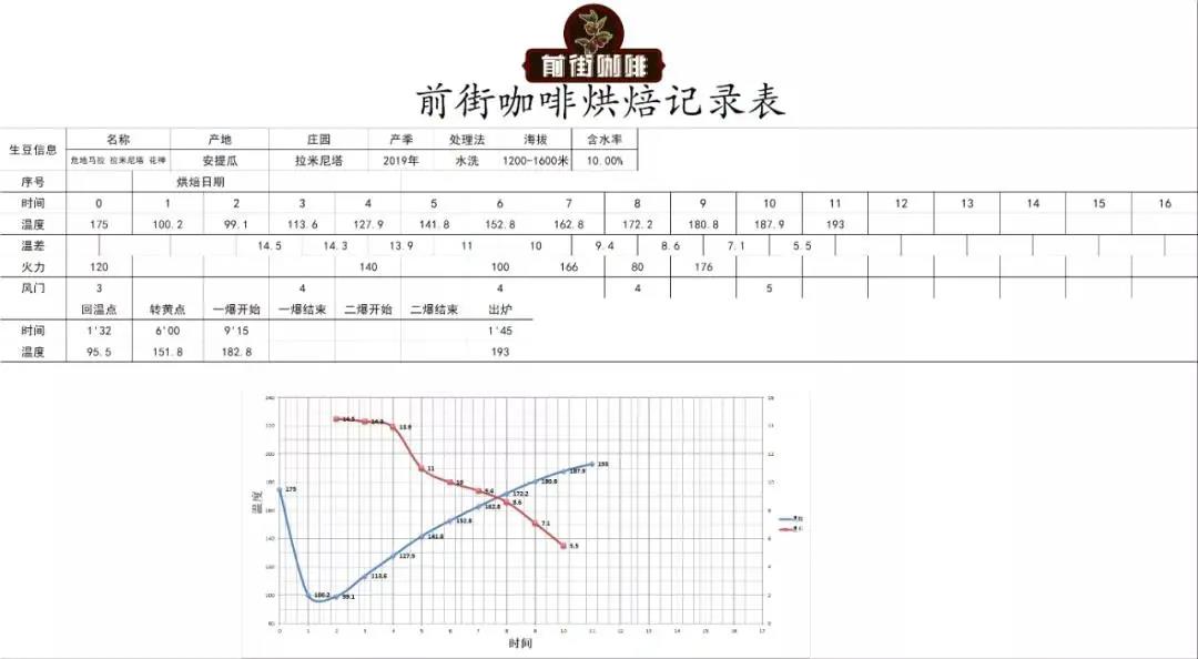 Coffee beans at medium-light roast level showing optimal color