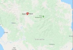 Exquisite High-Quality Indonesian Coffee with Floral Notes: Flavor Profile from the Toraja Coffee Region in Sulawesi, Indonesia