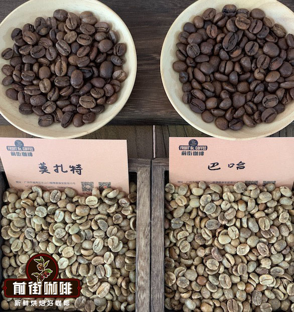 Costa Rica Canet Estate Musician Series Coffee Beans - Grind Size, Brewing Water Temperature, Taste and Flavor Description