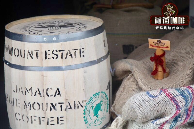 Jamaica Blue Mountain coffee beans quality inspection