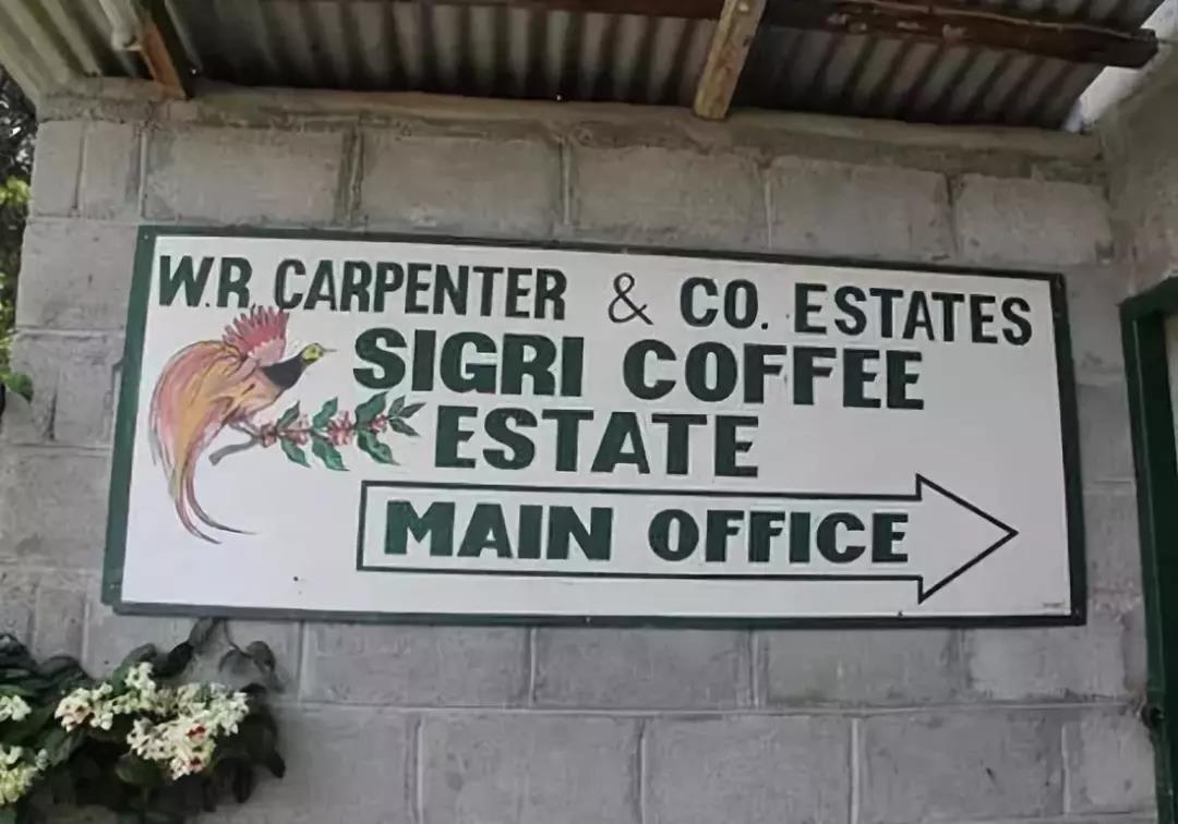 Sigri Paradise Bird Estate