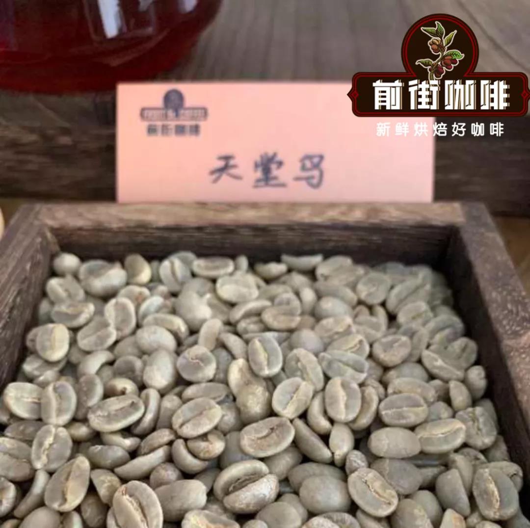 Coffee bean grading chart