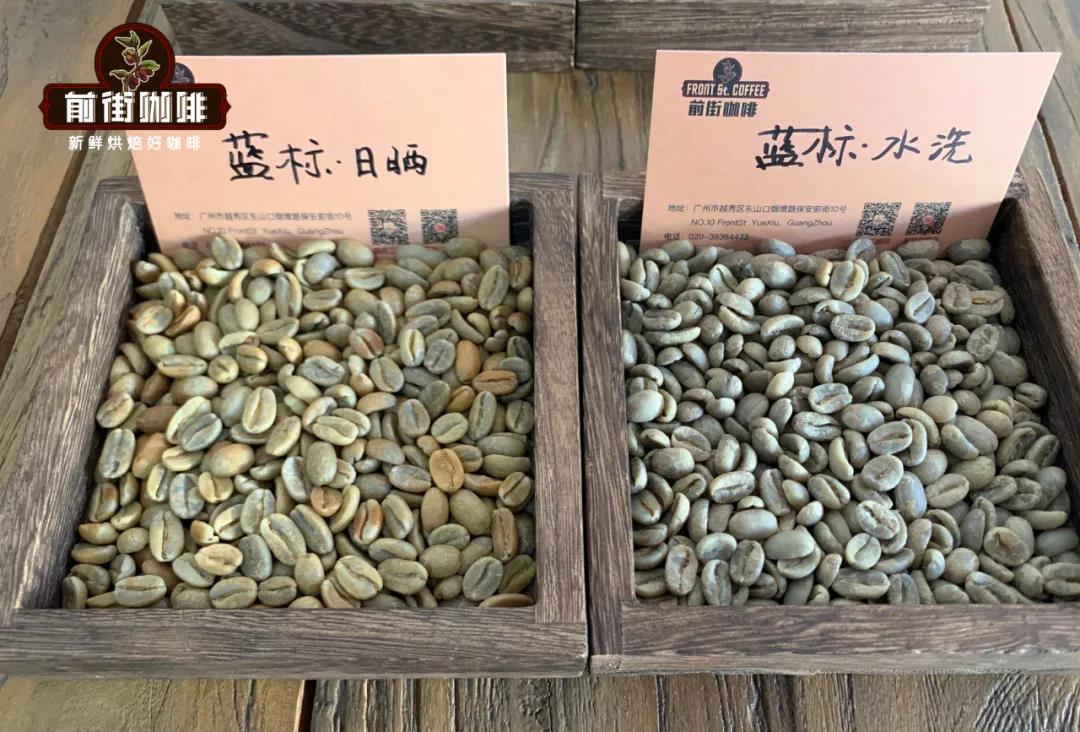 Geisha Green Beans Comparison