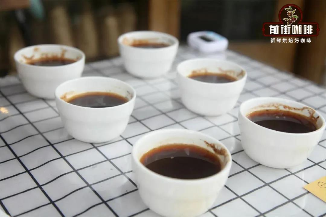 Coffee Cupping Session