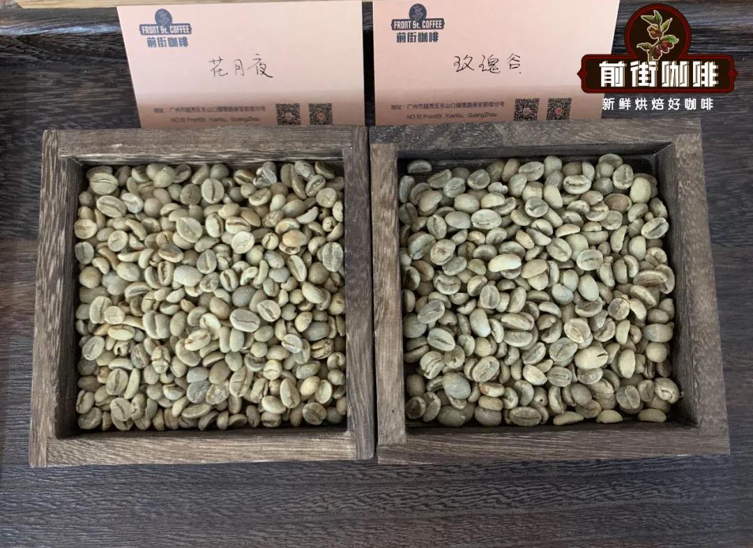Raw coffee beans comparison