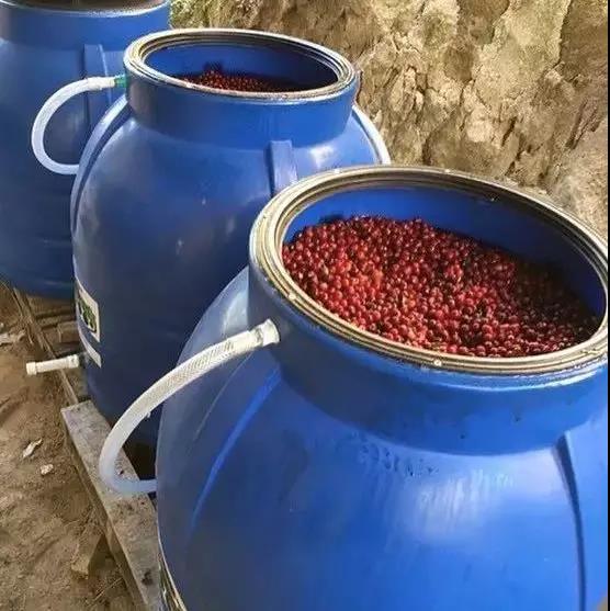 Anaerobic natural coffee drying