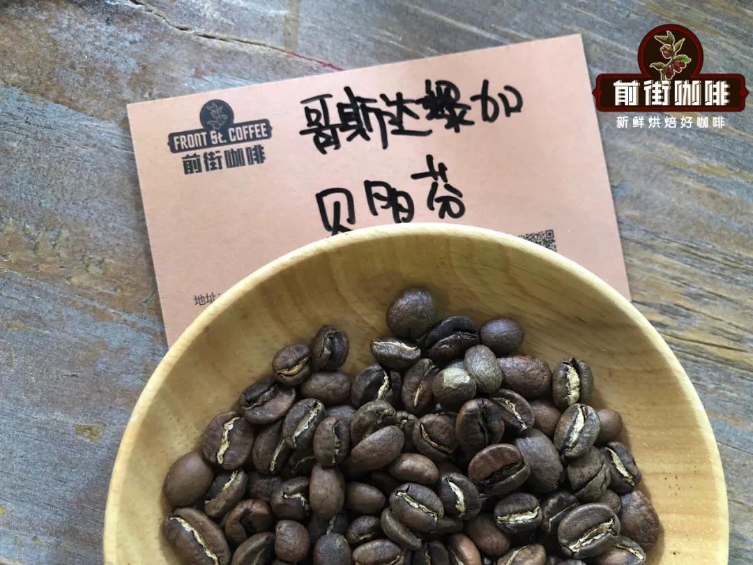 Catuai coffee cherries