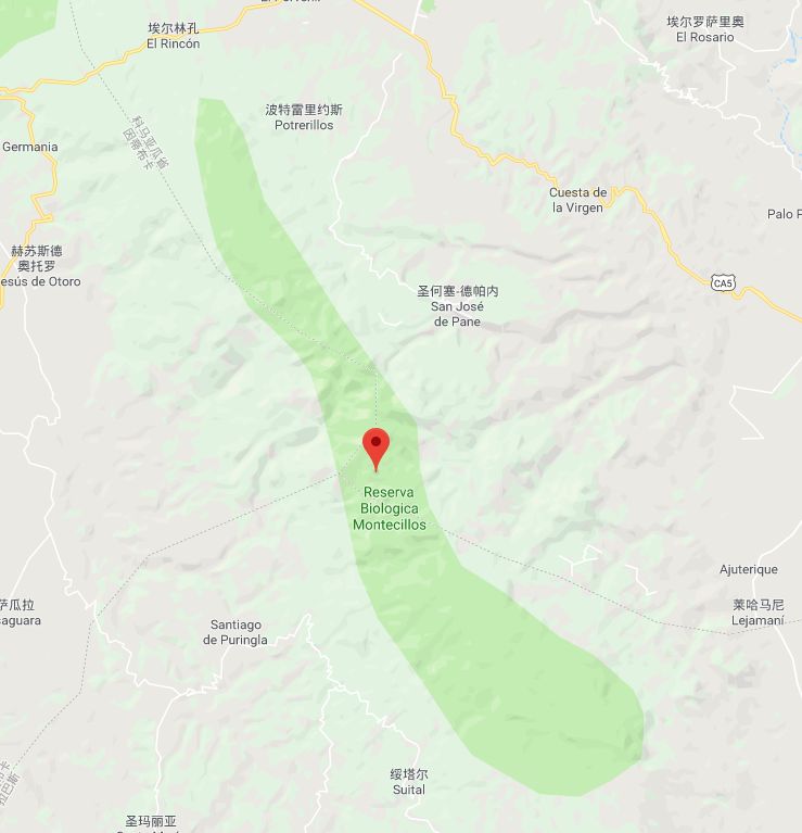 Montecillos coffee region