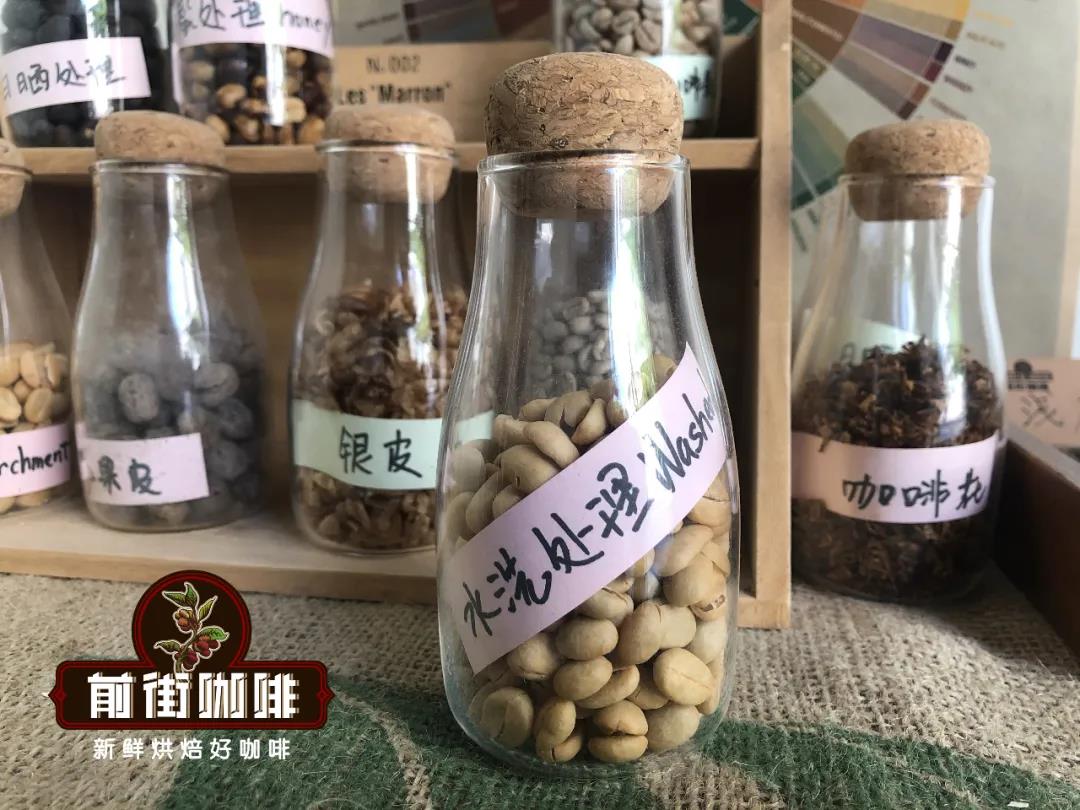 Washed coffee processing