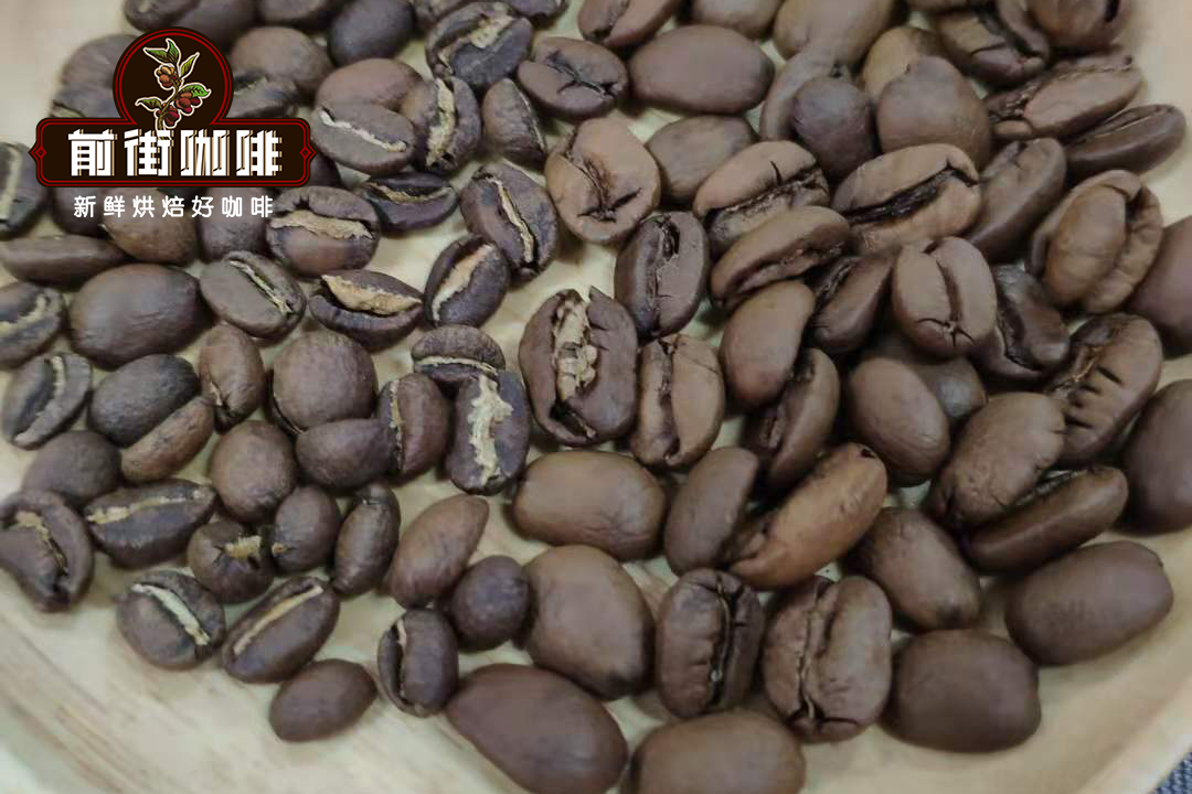 Maragogype beans comparison