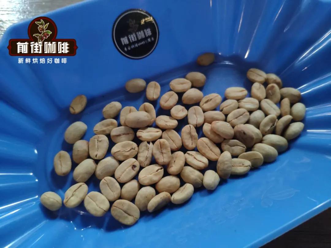 Coffee seed selection process