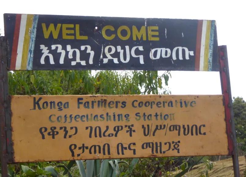 Konga Cooperative Coffee Farm