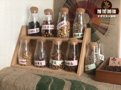 Yirgacheffe Chelelektu High Raised Bed Natural Processed Coffee Beans - Flavor Profile & Brewing Characteristics