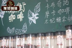 Colombian Origin Paradise Estate Tropical Style Coffee Beans - Which Coffee Beans Have Tropical Fruit Flavor